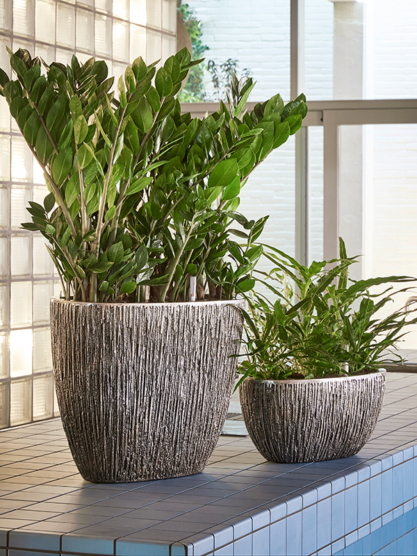 Baq Luxe Lite Universe Waterfall