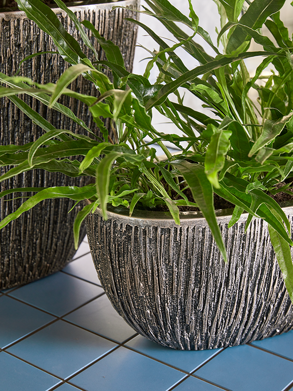 Baq Luxe Lite Universe Waterfall