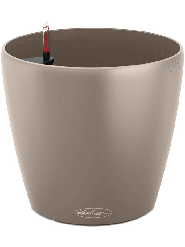 Lechuza Classico Color 18
