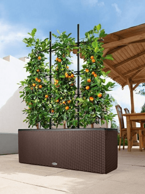 Lechuza Balconera Trio Cottage 40