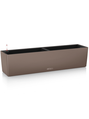 Lechuza Balconera Color