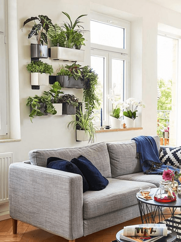 Lechuza Cube green wall home kit color
