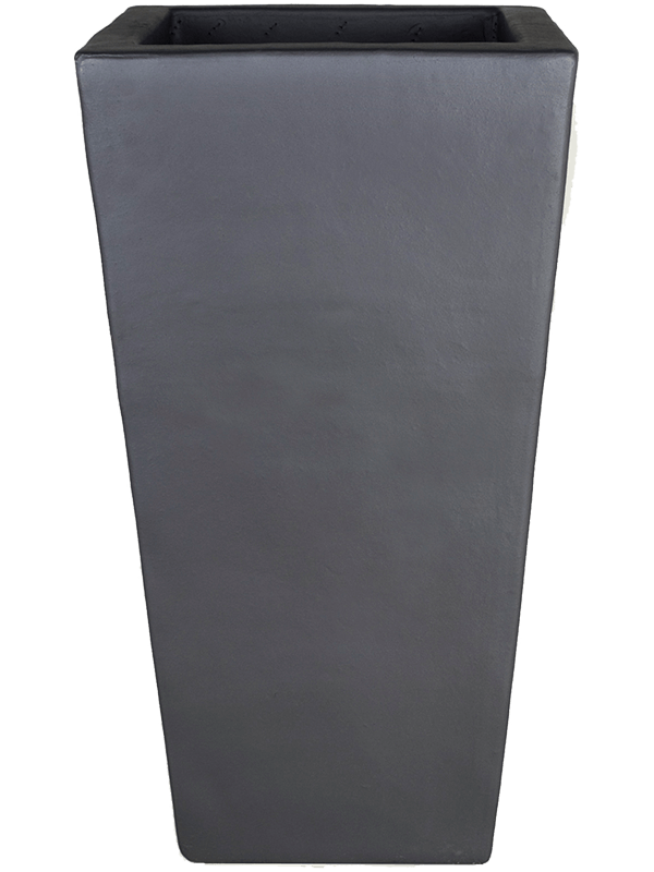 Plain