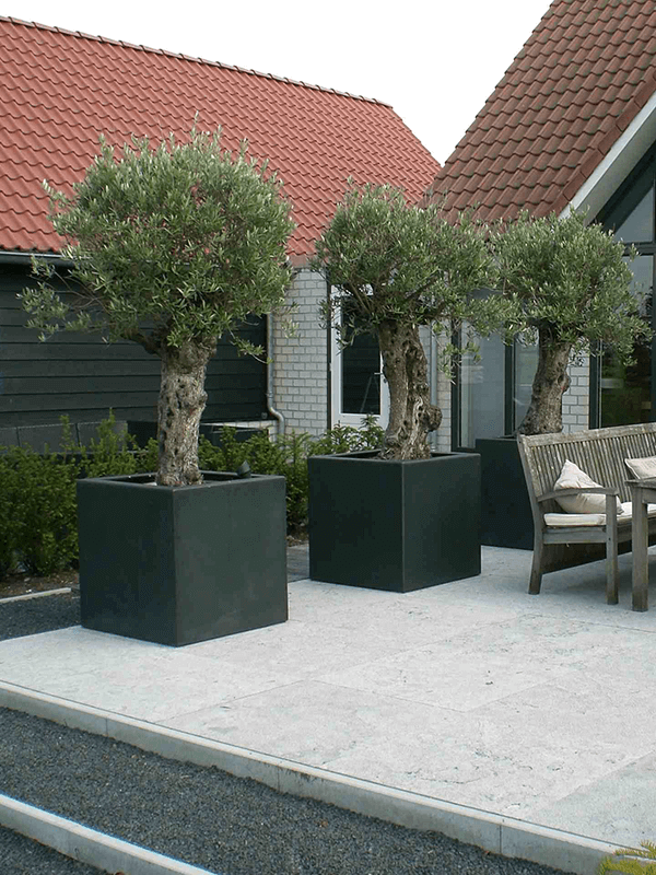 Polycube Anthracite