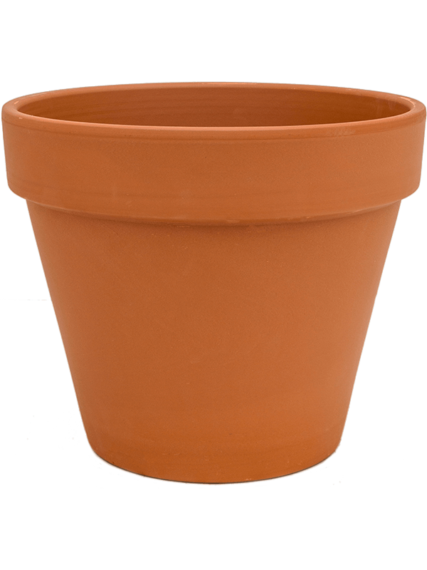 Terra Cotta