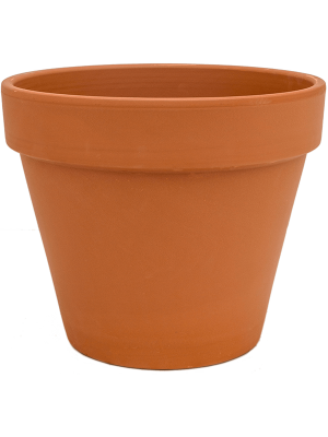 Terra Cotta