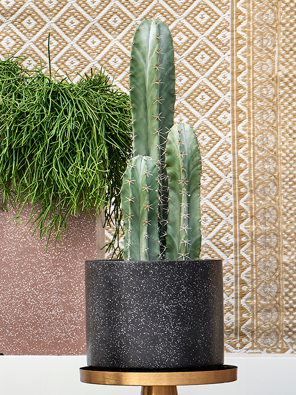 Baq Terrazzo