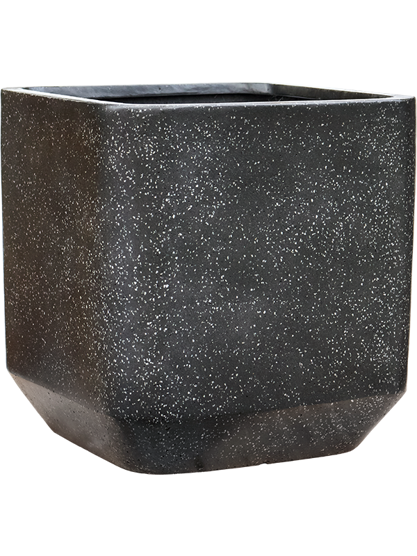 Baq Terrazzo