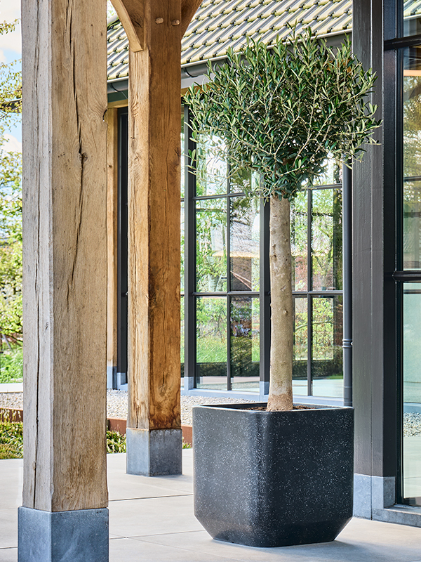 Baq Terrazzo