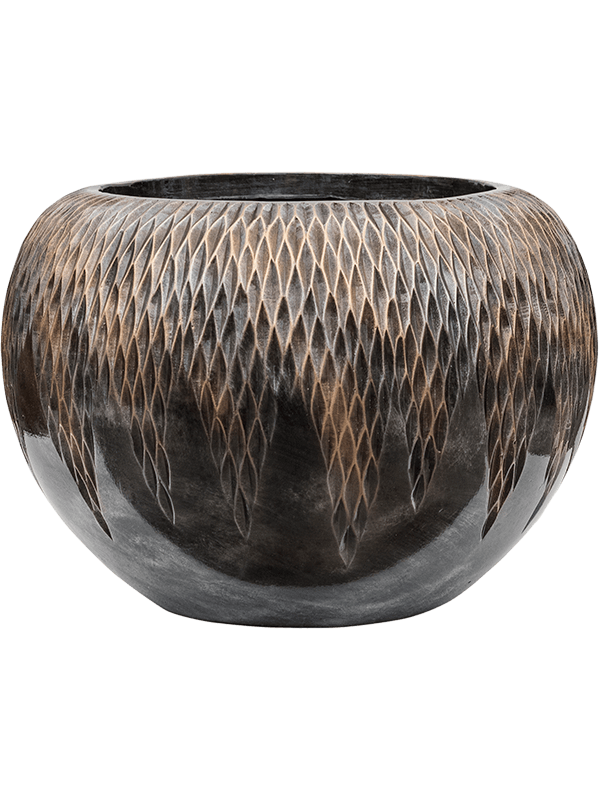 Caryota mitis en Baq Luxe Lite Universe Comet main image 0